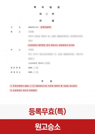 특허무효, 심결취소, 특허분쟁, 특허 특허무효, 심결취소, 특허분쟁, 특허